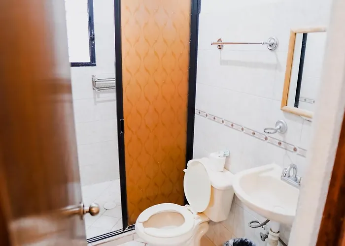 Roble Hotel 3*